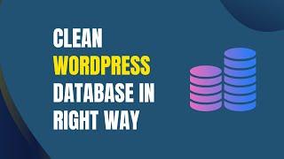 Cleaning up WordPress Database in 2023