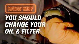Why Do You Need to Change Your Oil & Oil Filter?