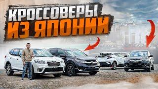 Самые популярные кроссоверы из Японии СR-V, Forester,XV, CH-R, Raize и другие