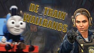 NEW CS2 TRAIN - WALLBANGS