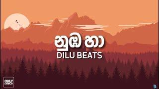 DILU Beats - Numba Ha (නුඹ හා) | Lyrics