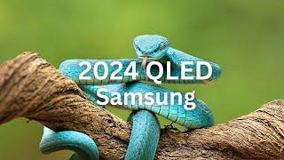 2024 SAMSUNG QLED l 4K HDR DEMO