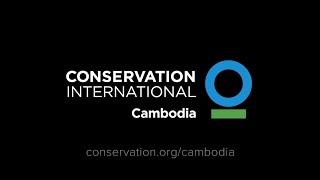 Conservation International Cambodia