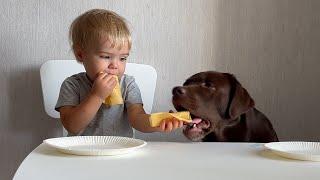 Adorable Baby Shares Yummy Cheese with His Best Dog Friend