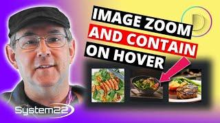 Divi Theme Image Zoom And Contain On Hover 