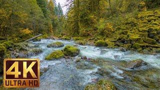 Красивое видео о природе в 4K (Ultra HD) - Звуки осенней реки - 5 часов
