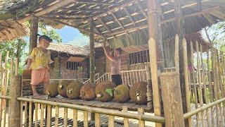 Build thatched roof and complete the entire bamboo house