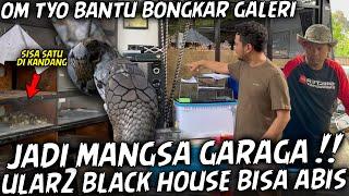 KANDANG GARAGA JEBOL TERUS !! PANJI KEWALAHAN ULAR2 ABIS DIMAKAN..