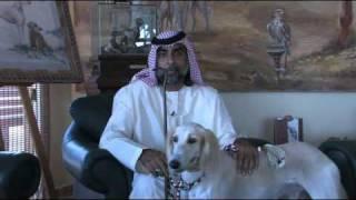 The Arabian Saluki Center