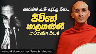 168. ජීවිතේ කාලකණ්ණි කරගන්න එපා! | කාකාතී ජාතකය | ධෝනසාඛ ජාතකය | 2023-11-09