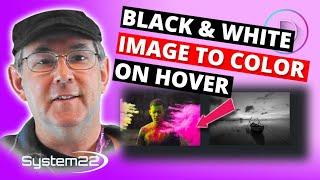 Divi Theme Image Black And White To Color On Hover 