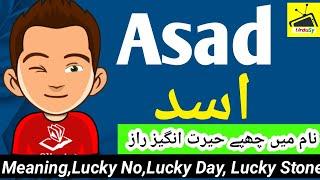 Asad Name Meaning In Urdu | Boy Name اسد |Urdusy