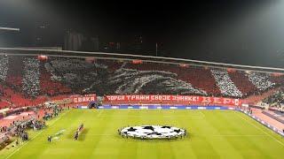 Delije na utakmici: Crvena zvezda - Štutgart 5:1 (27.11.2024.)