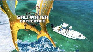 BEST SNAPPER Fishing In 30 YEARS | Yellowtail After Hurricane Irma | Saltwater Experience