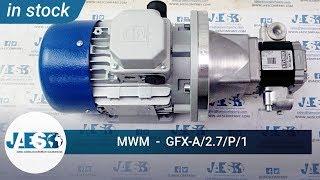 MWM GFX-A/2.7/P/1 (IN STOCK) Pump MWM GFX-A/2.7/P/1 ID P2527111 - Pompa