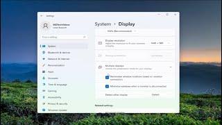 How to Force Applications to Open on Primary Monitor in Windows 11 [Tutorial]