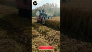 Mini combine harvester in India #shorts #ytshorts #yanmar #harvester #viral