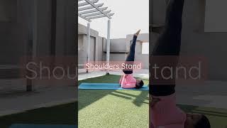 Shoulder Stand #beginnersyoga #yoga #youtube #viral #health #yogarimaa #trend #flexibility #shoulder