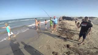 Shark Fishing South Parde Island with Che Ibarra