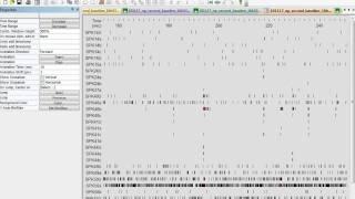 NeuroExplorer mini animation of the raster plot after stimulation