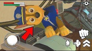 PUPPY PAW PATROL ONLINE GAME EXE CHASE SICK URGENT CARON ROCKY HELP (Garry's Mod)