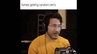 furries getting random dm’s