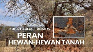 Kuliah Biologi Tanah #2. PERAN FUNGSIONAL HEWAN-HEWAN TANAH