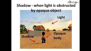 Difference between shadow and reflection