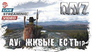 Ау! Живые есть!? [DayZ]