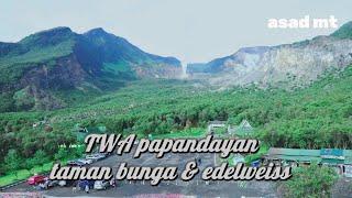 Taman wisata alam papandayan terbaru || TWA papandayan || review taman edelweis || asad mt