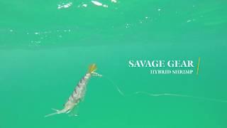 How Lures Swim: Savage Gear Hybrid Shrimp