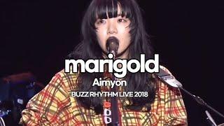 아이묭(あいみょん) - 마리골드(marigold) BUZZ RHYTHM LIVE 2018 [가사/발음/해석]