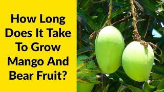 How Long Does It Take To Grow Mango And Bear Fruit?