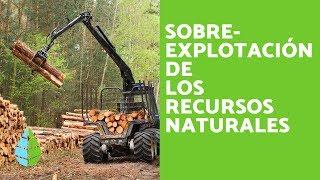 SOBREEXPLOTACIÓN de RECURSOS NATURALES - CAUSAS y CONSECUENCIAS