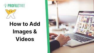 Adding Images and Videos To Your Wix Website | How to Build a Wix Website | Wix Tutorial | Wix