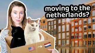 HOW TO PREPARE TO MOVE TO THE NETHERLANDS  (american expats in holland)