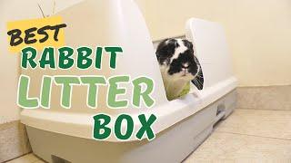 Our Favourite Litter Box | Rabbit Litter Box Review