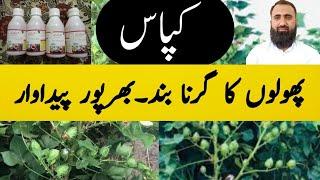 How to boost flowering in cotton crop| Naphthyl Acetic Acid|Bilal Kanju Official