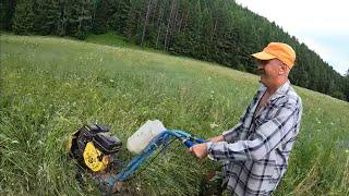 Земляничный рай, начало сенокоса, пирожки от бабы Лизы