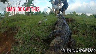 Catch Big Alligator On Hook Line (Beze Hunting)