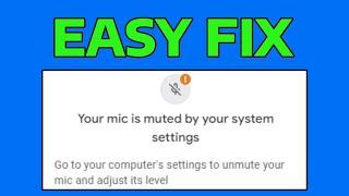 How To Fix Your Mic is Muted By Your System Settings in Google Meet