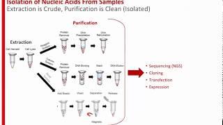 Dirty DNA is Okay - Sometimes! Obtaining Rapid PCR/RT-PCR Results from Diverse Sample Types