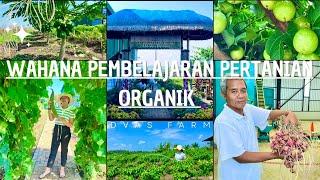 WAHANA PEMBELAJARAN PERTANIAN ORGANIK. YANG SUKA BERKEBUN WAJIB MERAPAT KESINI️