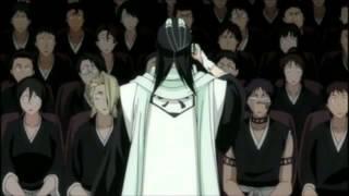 Byakuya's most embarrassing moment ever! XD