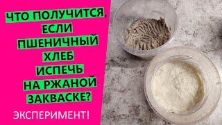 Можно ли печь пшеничный хлеб на ржаной закваске? НАГЛЯДНЫЙ ЭКСПЕРИМЕНТ!