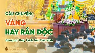 Câu chuyện: Vàng hay rắn độc | Thầy Thích Trúc Thái Minh