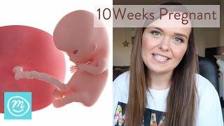 10 Weeks Pregnant: What You Need To Know -  Channel Mum