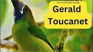 Top Facts About Gerald Toucanet & Biological Challenges