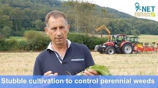 Stubble cultivation to control perennial weeds in organic agriculture (Nov 2016)