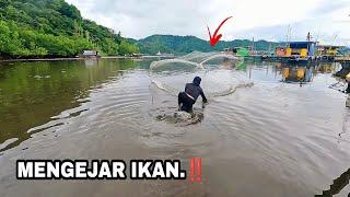 SHOCKED,,, WHEN THE FISHING NET WAS ON THE BEACH, YOU GOT THIS FISH.‼️ Amazing fishing Nets video